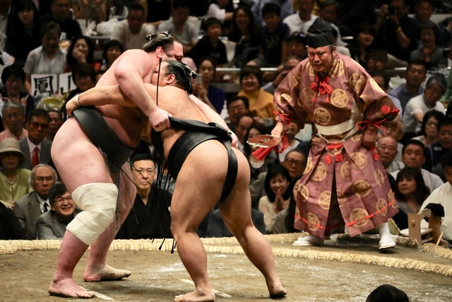 combat de sumo