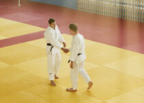 plus grands judokas