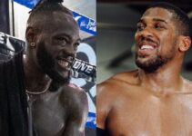 Offre colossale : Deontay Wilder vs Anthony Joshua