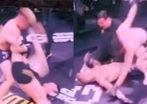 KO inattendu d'un Sud Coréen crée choc MMA