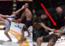 MMA : KO brutal suite à un coup de pied