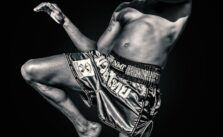 plus grands champions de muay thai de tous les temps