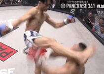High kick d'un Japonais fait trembler le MMA.