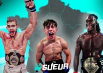 Origine des 100 meilleurs combattants amateurs de MMA en France