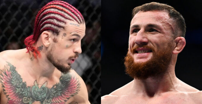 Sean O’Malley vs Merab Dvalishvili confirmé pour l'UFC Noche