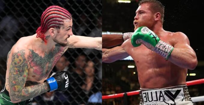 Sean O'Malley vise à surpasser Canelo Alvarez