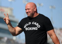 Dana White veut conquérir la boxe