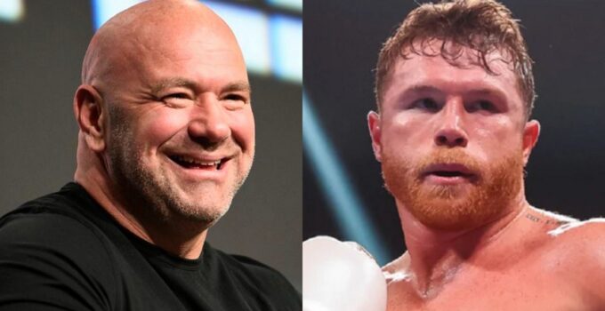 Dana White veut organiser un show UFC chez Canelo Alvarez