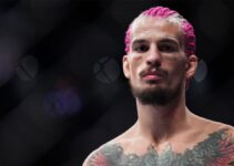 Sean O'Malley UFC : longue absence post défaite ?