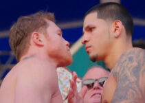 Ultime face à face : Canelo Alvarez vs Edgar Berlanga