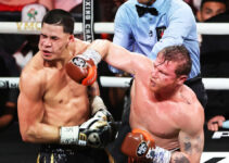 Victoire facile de Canelo Alvarez sur Edgar Berlanga