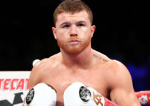 Classement pound for pound : Canelo Alvarez chute dans la