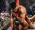 Youssef Boughanem officialisé pour un combat de MMA contre un